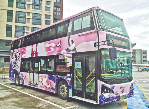 爱巴士在线观看,在线观看，感受温馨巴士之旅  第1张