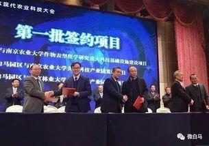 农垦科技爆料最新消息,揭秘农业现代化创新突破与未来趋势
